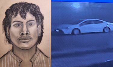 Baytown police released a sketch Tuesday of a man who they said met a teenager online before luring the victim into his car and sexually assaulting the teen.