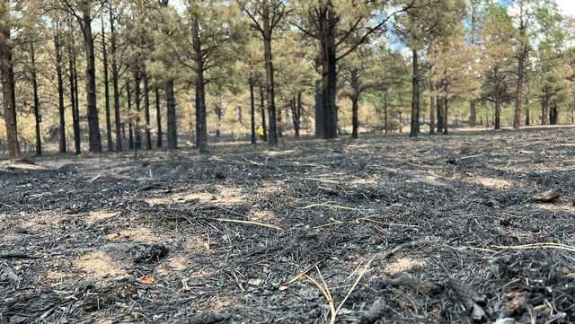 <i>KOAT</i><br/>As more acres of the Calf Canyon Hermits Peak fire are drowned out