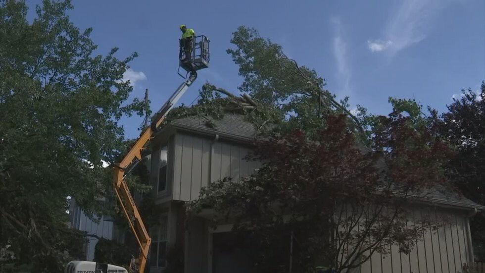 <i>KCTV</i><br/>A woman is thankful she made it out of a Lenexa home safely after a large tree crashed through the roof and landed inside a house near Brentwood Drive and Greenway Lane.