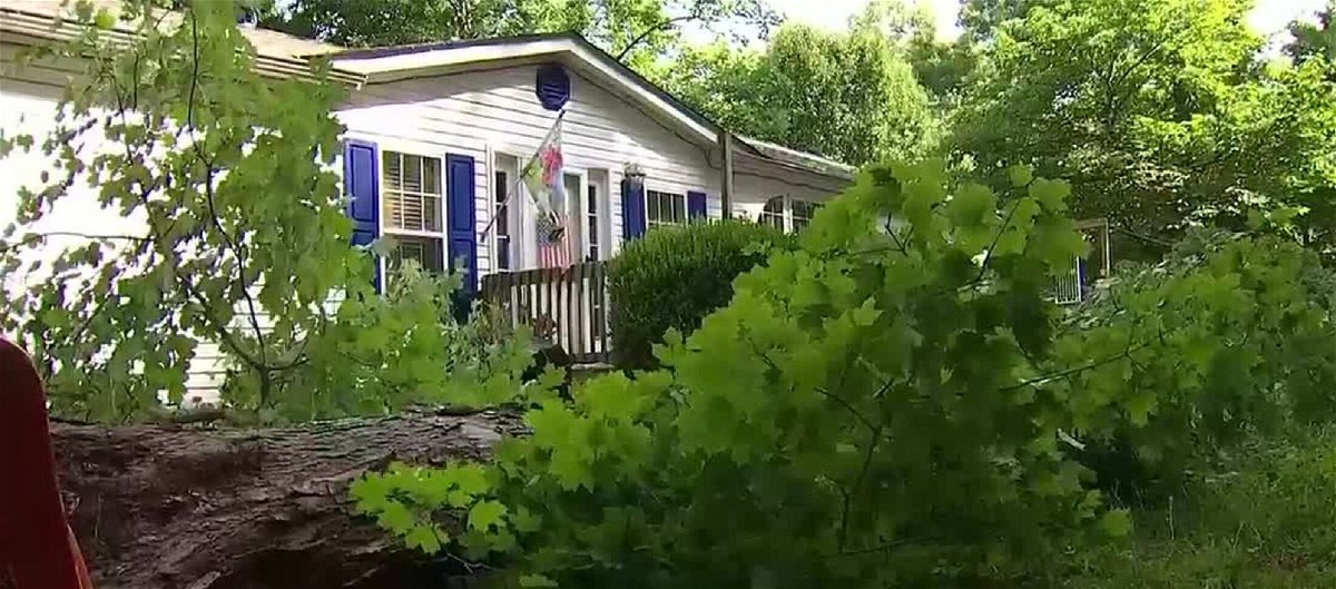 <i>WSMV</i><br/>Strong storms came dangerously close to killing a woman when part of a tree came crashing down on her front porch.