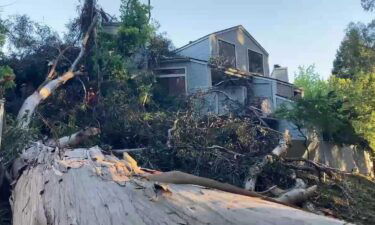 An 80-foot-long eucalyptus tree crashed down on two condominium units in Aptos