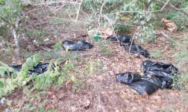 Bags of dead animals found in woods in Athens near an apartment complex.