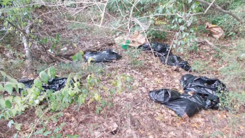<i>Athens Clarke Co PD</i><br/>Bags of dead animals found in woods in Athens near an apartment complex.
