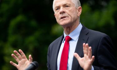 Peter Navarro speaks to the press outside of the White House in June 2020.