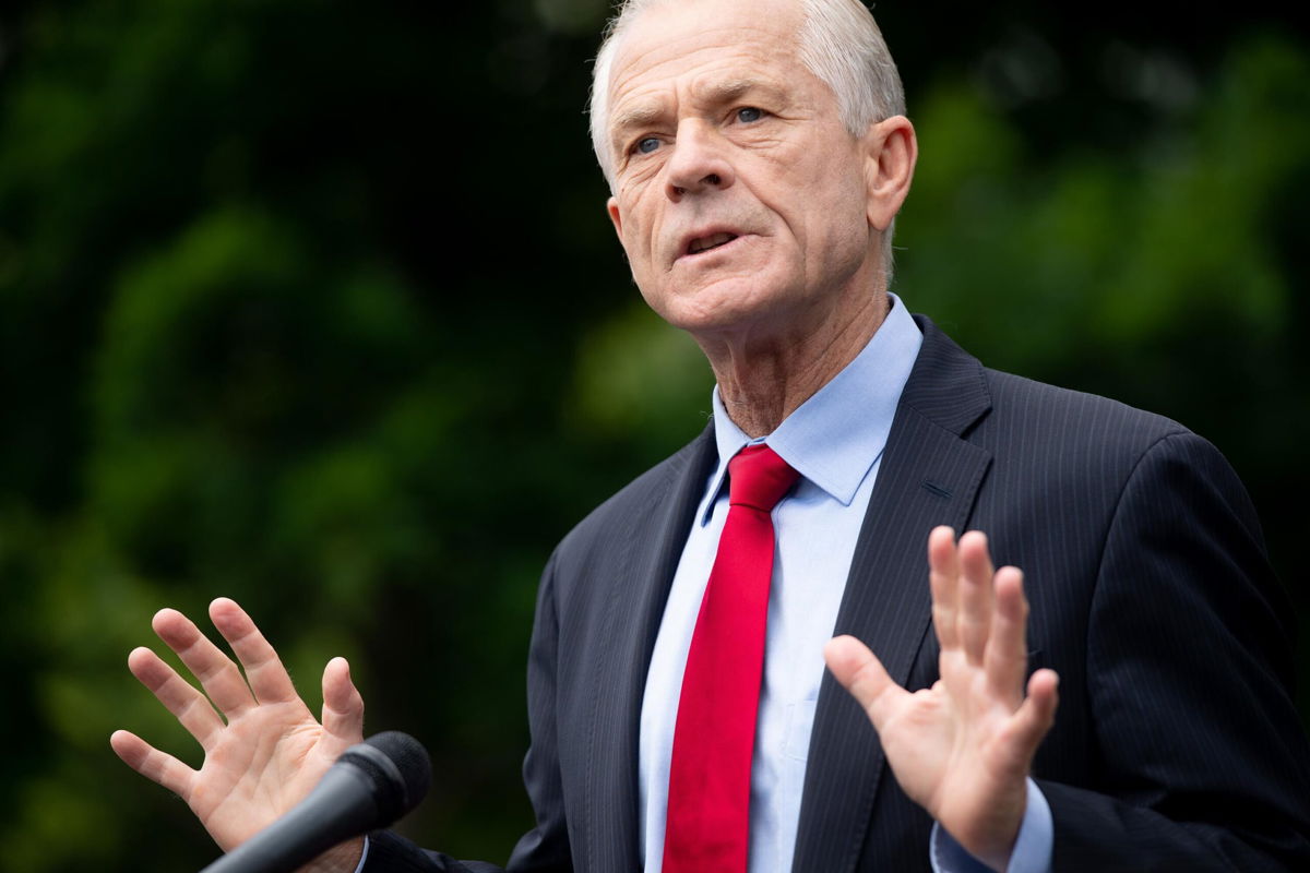 <i>SAUL LOEB/AFP/Getty Images</i><br/>Peter Navarro speaks to the press outside of the White House in June 2020.