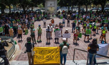 Protesters gather in front of the Los Angeles City Hall in downtown Los Angeles on June 26