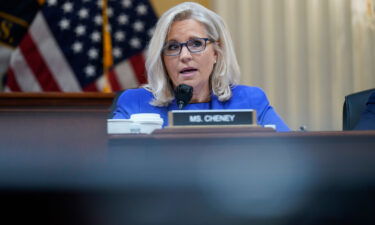 Vice Chair Liz Cheney