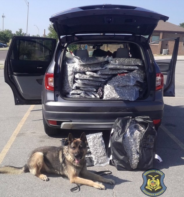 Troopers recovered 67 pounds of marijuana after a traffic stop on Interstate 70 in Boone County, Missouri on Thursday, July 21, 2022. Troopers arrested two men for delivery of a controlled substance. 