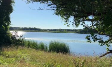 Lake Ivanhoe is located in the Town of Bloomfield in Walworth County. The most recent census data counts a population of about 400 people.