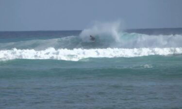 A life-long surfer