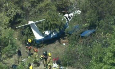 A small aircraft crashed in a wooded area near Dallas Executive Airport