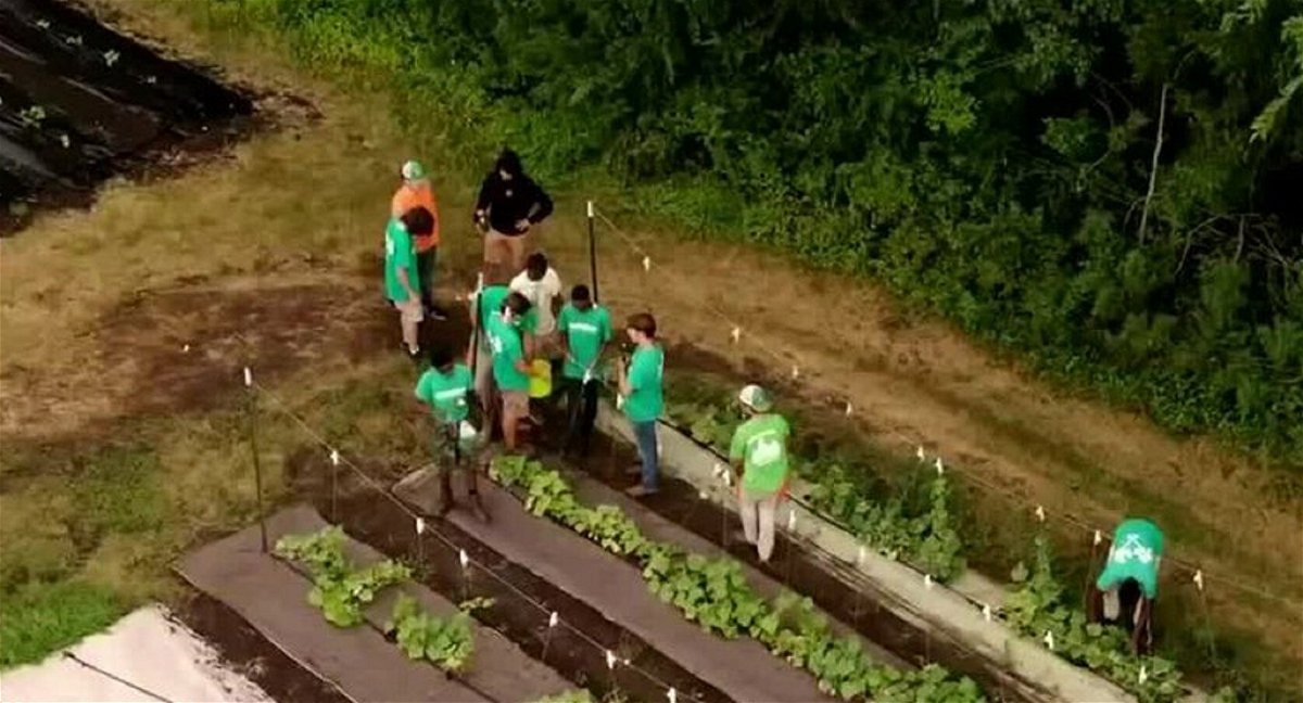 <i>KCTV</i><br/>BoysGrow is helping kids gain relationships while teaching them to be an entrepreneur on a farm in south Kansas City.