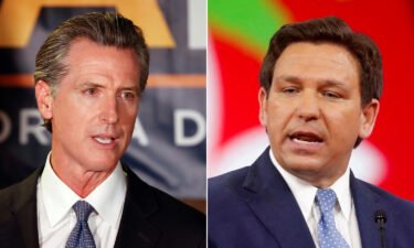 Gavin Newsom and Ron DeSantis aren't just avatars for the different futures of their parties