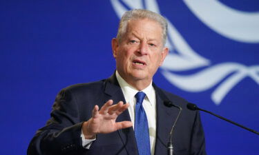 Former Vice President Al Gore