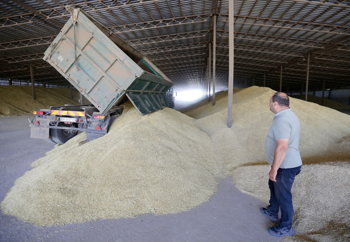 <i>NurPhoto/Getty Images</i><br/>The Biden administration is putting $100 million into a new program to provide Ukrainian farmers with vital supplies in order to maintain future harvests and alleviate the global food security crisis that has been exasperated by Russia's war on the country.