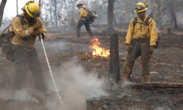 Firefighters work to contain hot spots from the Oak Fire