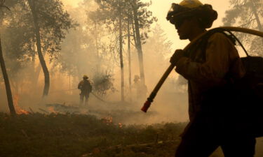Cal Fire firefighters monitor a burn operation as they battle the Oak Fire on July 24 near Jerseydale