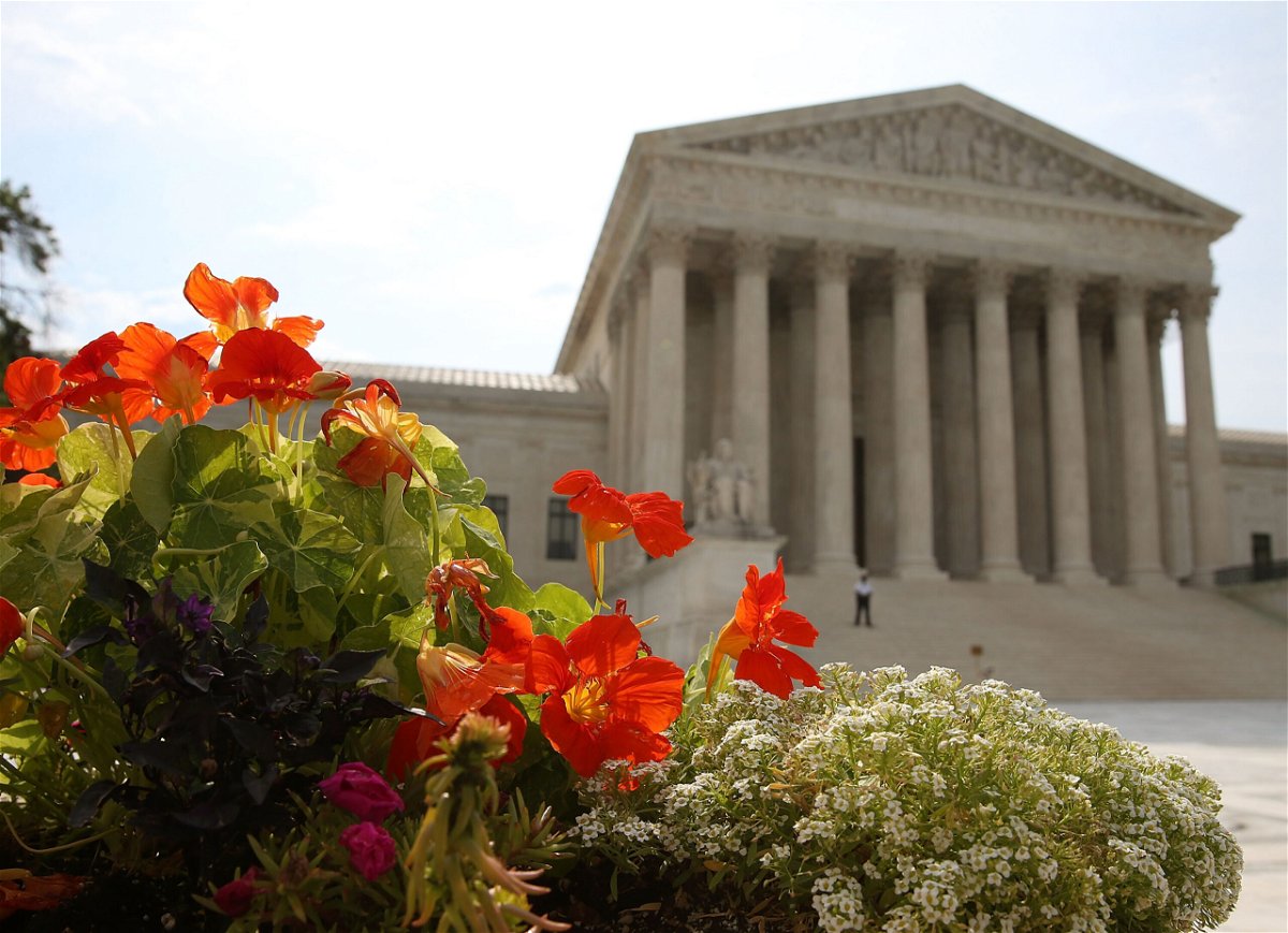<i>Mark Wilson/Getty Images</i><br/>Flowers are bloom in front of the U.S. Supreme Court