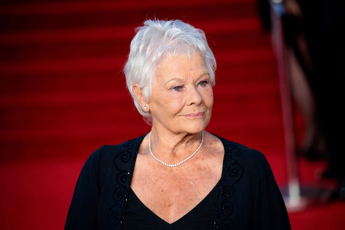 <i>Vianney Le Caer/Invision/AP</i><br/>Judi Dench