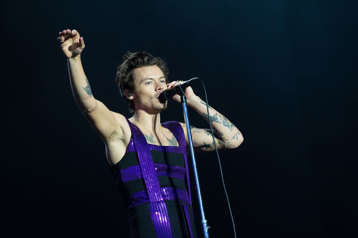 <i>Joseph Okpako/WireImage/Getty Images</i><br/>Harry Styles has inspired countless fans to pen fan fiction
