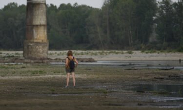 A woman stands on the Po riverbed next to Ponte della Becca (Becca bridge) in Linarolo