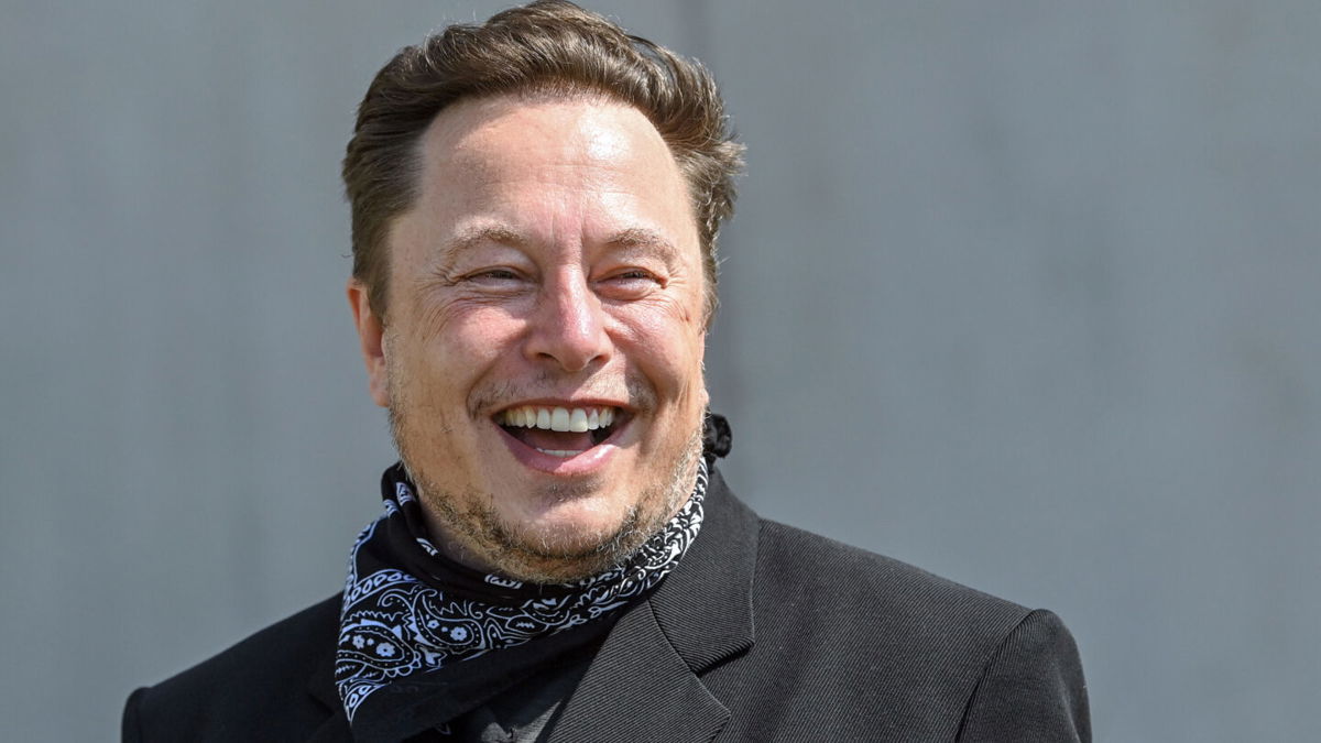 <i>Patrick Pleul/picture alliance via Getty Images</i><br/>Elon Musk