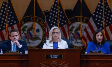Vice Chair Liz Cheney on Capitol Hill on July 21