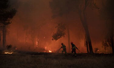 Firefighters tackle a forest fire approaching houses on July 18