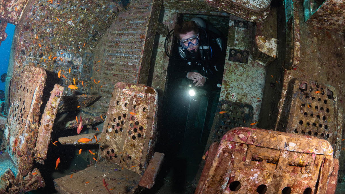 <i>Brett Hoelzer/Deep Blue Dive Center</i><br/>Divers can explore the cockpit and cabin.