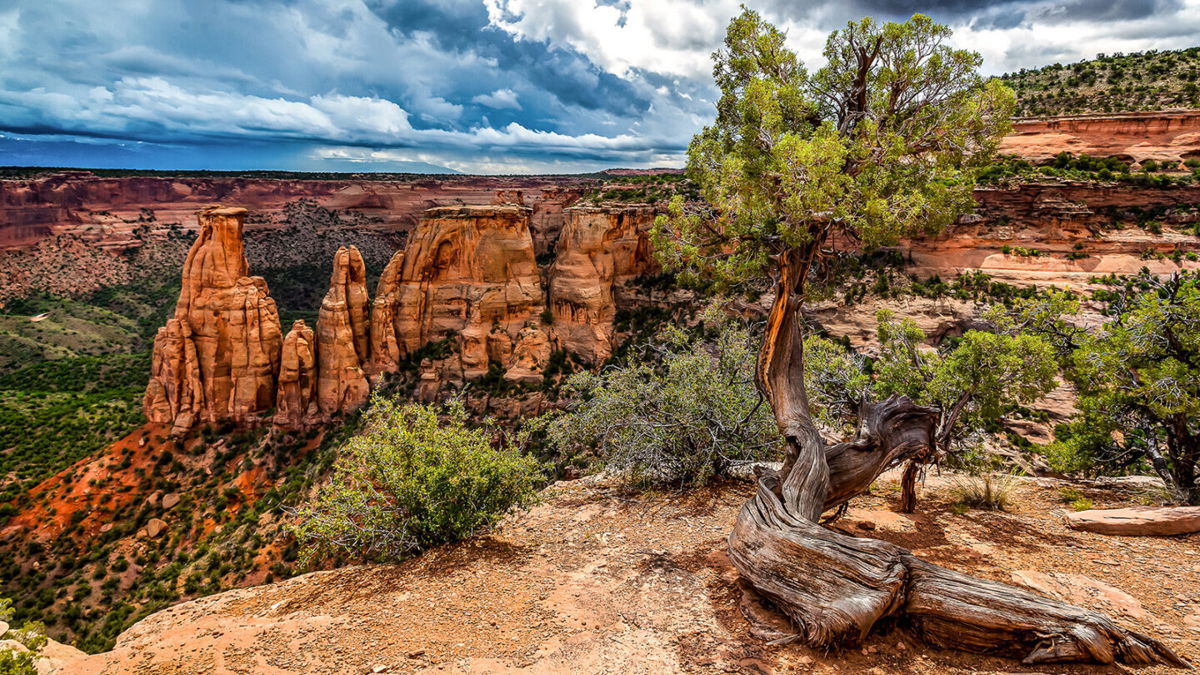 <i>jsnewtonian/Adobe Stock</i><br/>Colorado National Monument features red rock canyons near Grand Junction.