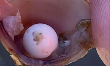 A group of middle schoolers found a "very rare" pearl inside a clam at river in northern Maryland over the weekend.