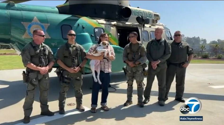 <i>KABC</i><br/>A hiker on Friday got to meet and thank the Los Angeles County sheriff's deputies who rescued him and his dog after they were stranded in the San Gabriel Mountains.