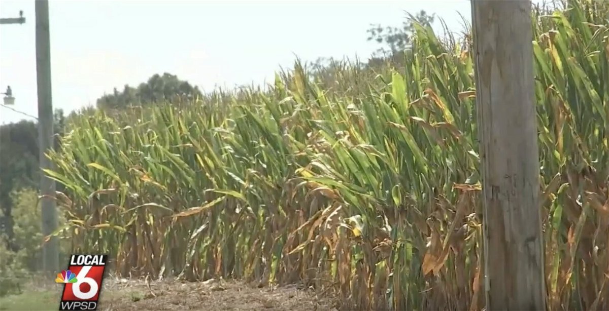 <i>WPSD</i><br/>Heat and lack of rain are impacting crops throughout the country.