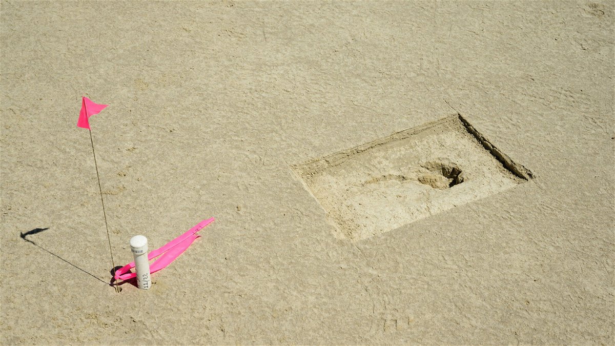 <i>R. Nial Bradshaw/U.S. Air Force</i><br/>Researchers found 88 fossilized footprints in Utah