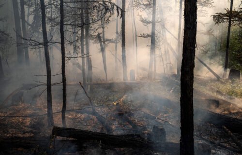 A forest fire is pictured here outside the village of Byas-Kyue in Siberia in 2021.