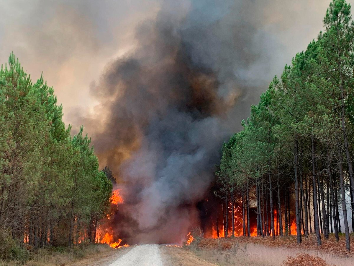 <i>SDIS 33 Service Audiovisuel/AP</i><br/>Flames consume trees in Saint Magne