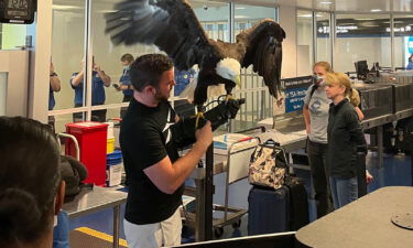 Passengers at the Charlotte Douglas International Airport in North Carolina had an unexpected interruption at the Transportation Security Administration checkpoint when a bald eagle
