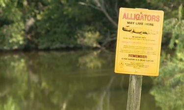 An 88-year-old woman was killed by an alligator after she slipped into a pond while gardening at an adult living community. A sign warns about the possibility of alligators at a body of water at Sun City Hilton Head