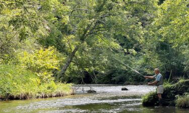 Longtime fisherman Tom Panek goes fly fishing in a stream of Madison County