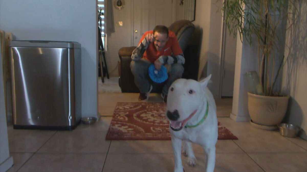 <i>KPHO/KTVK</i><br/>Anthony Graziani says his service dog