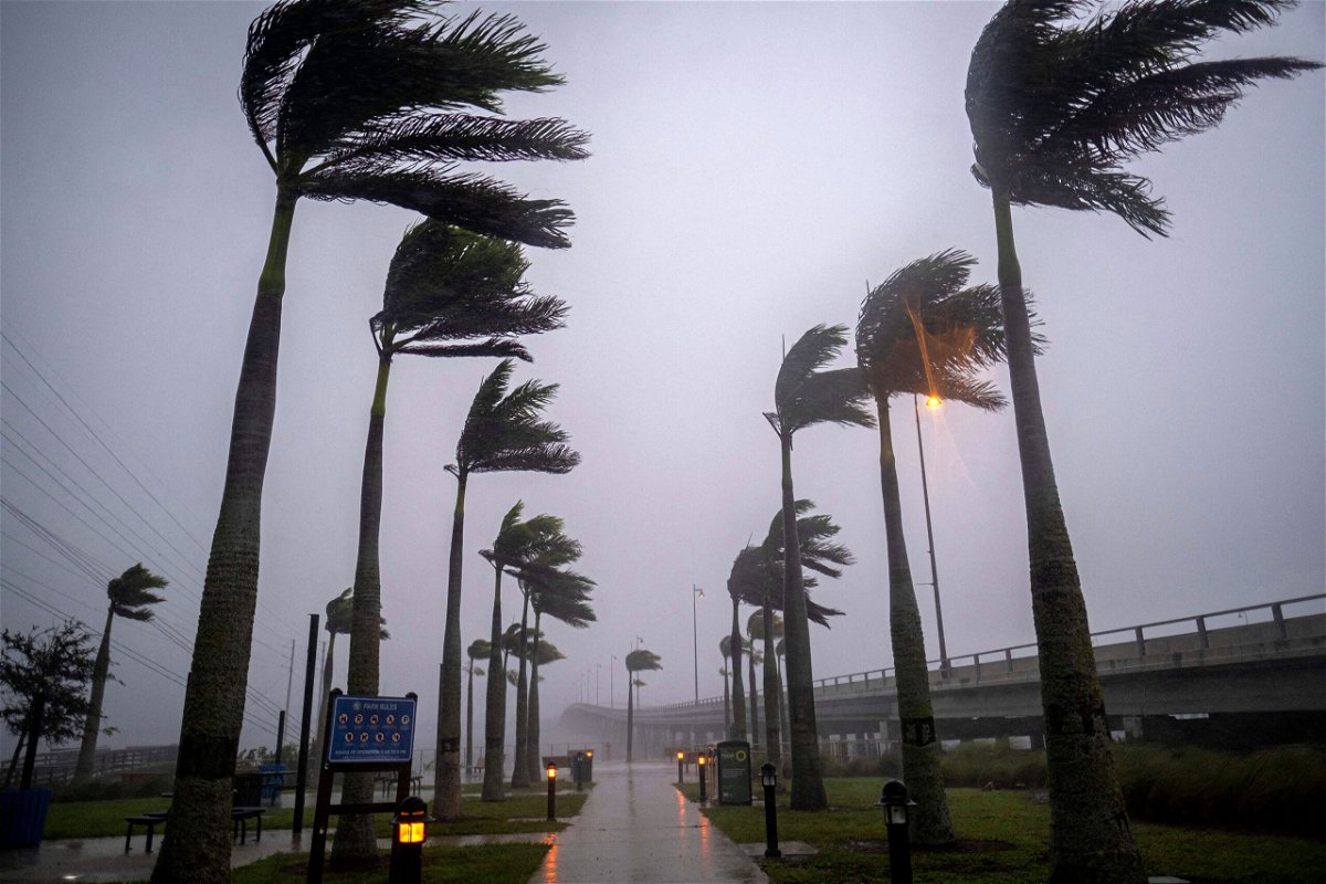 <i>Ricardo Arduengo/AFP/Getty Images</i><br/>Wind blows palm trees ahead of Hurricane Ian in Charlotte Harbor