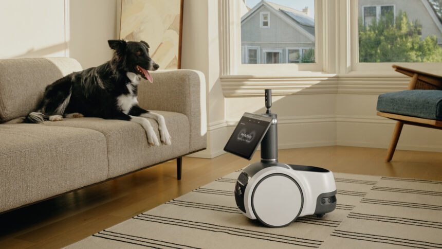 Can tech make your dog smarter? Seattle startup raises cash to build brain  games for pets – GeekWire