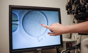 An embryologist shows an Ovocyte after it was inseminated in Reston