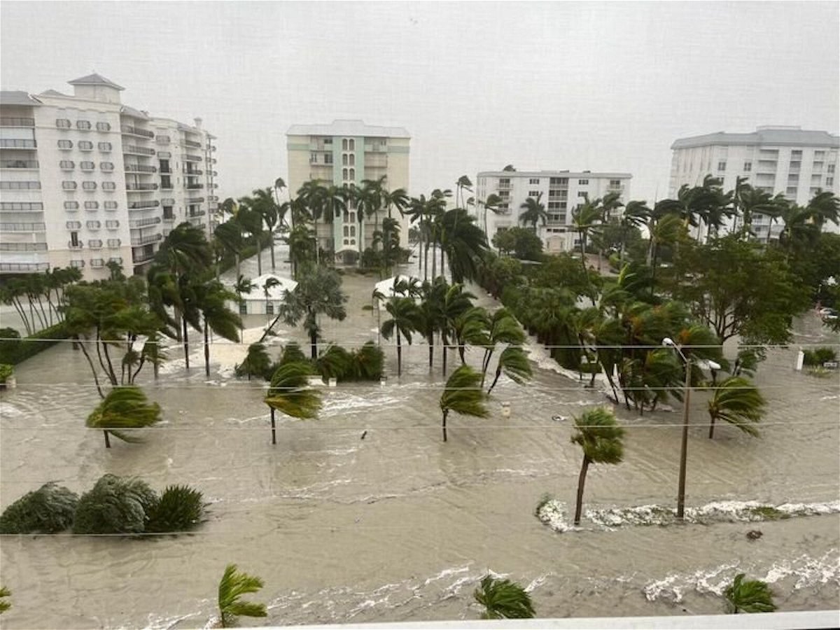 <i>City of Naples</i><br/>Pictured here is Gulfshore Boulevard.
