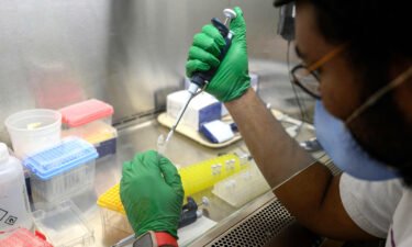A research assistant prepares a PCR reaction for polio at a lab at Queens College on August 25