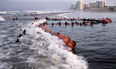 The Navy is investigation the grueling SEALs selection course after the death of a sailor earlier this year. SEAL candidates here participate in "surf immersion" at the Naval Special Warfare Center in Coronado