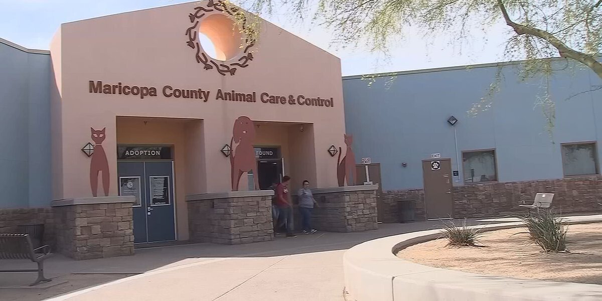 <i>KTVK KPHO</i><br/>The Maricopa County Animal Care & Control announced the temporary closure of its east Valley shelter due to a potential disease outbreak among its dogs.