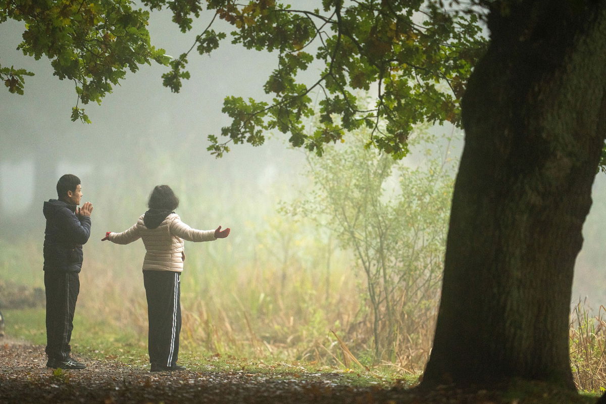 <i>Christopher Furlong/Getty Images</i><br/>Tai chi is a version of qigong but places more emphasis on physical form and requires more discipline.