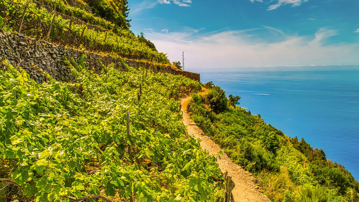 <i>Vivida Photo PC/Adobe Stock</i><br/>Liguria is a land of steep cliffs and mountains which are terraced to grow food and wine.