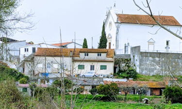 Grace Veach and her family moved to the village of Sao Martinho de Árvore outside of Coimbra.